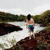 foto do perfil theseeker
